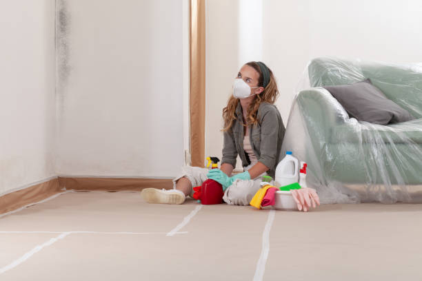 Reliable Mold Remediation contractor in Cloverly, MD by 24 Hour Mold Removal